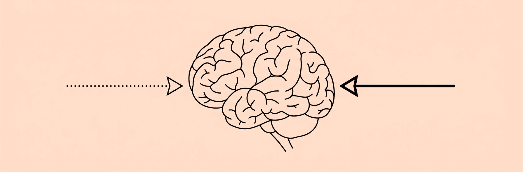 Line-art illustration of a brain receiving two different signal pathways — a weak dotted line from fructose and a strong solid line from glucose