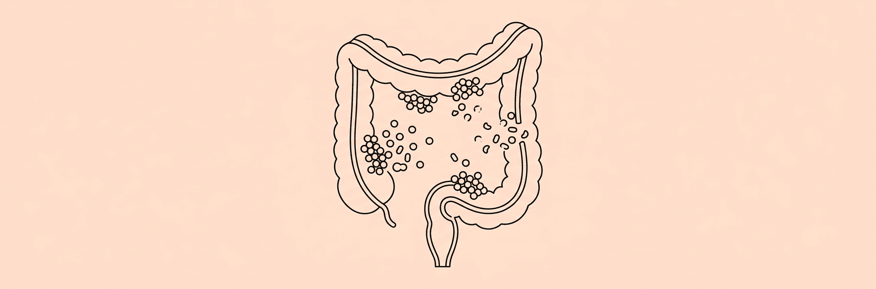 Lineart illustration of a human gut cross-section with scattered microbiome bacteria on a peach background