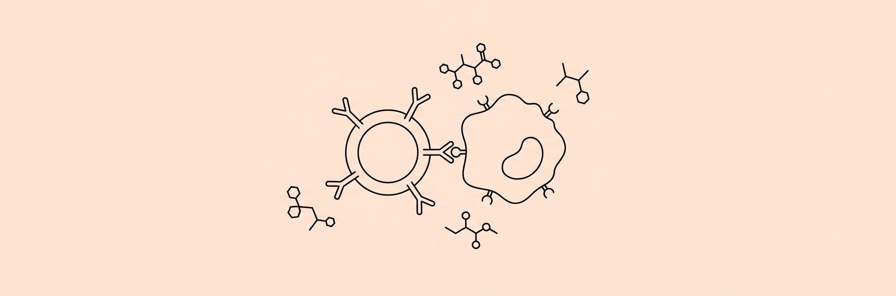 Line-art of a T-cell detecting a cancer cell with amino acid molecules floating nearby on a peach background