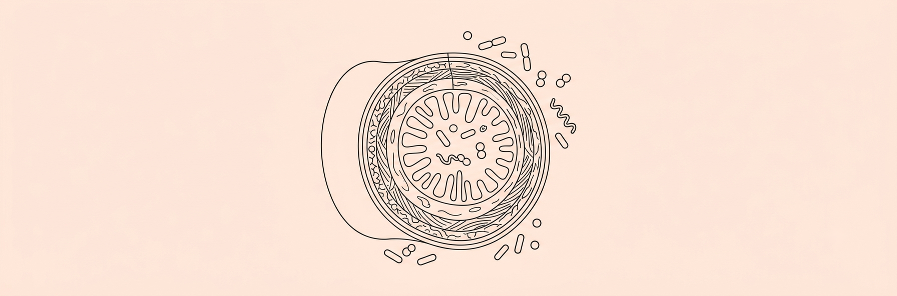 Carbohydrates Are the Strongest Driver of Gut Microbiome Composition, New Study Finds