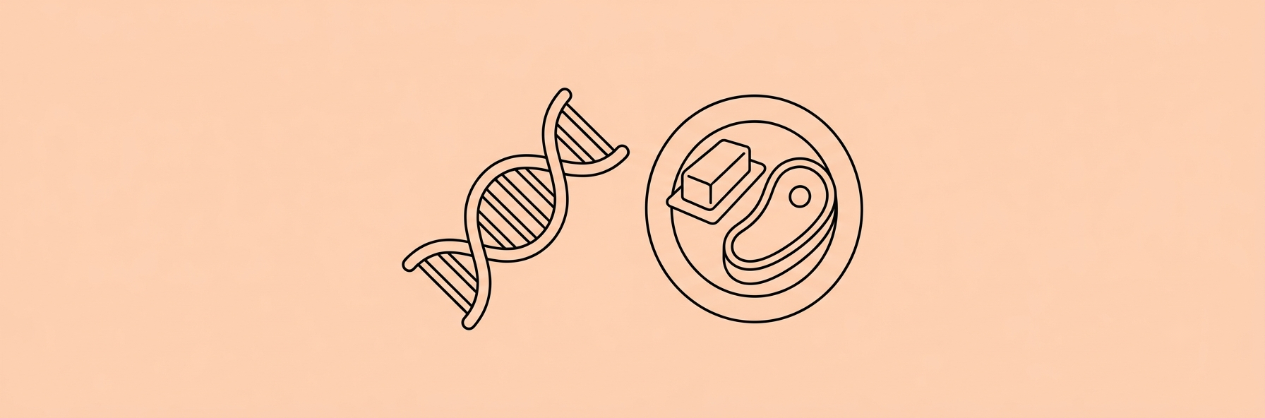 Your Genes May Determine Whether a Low-Carb Diet Raises Your Cholesterol