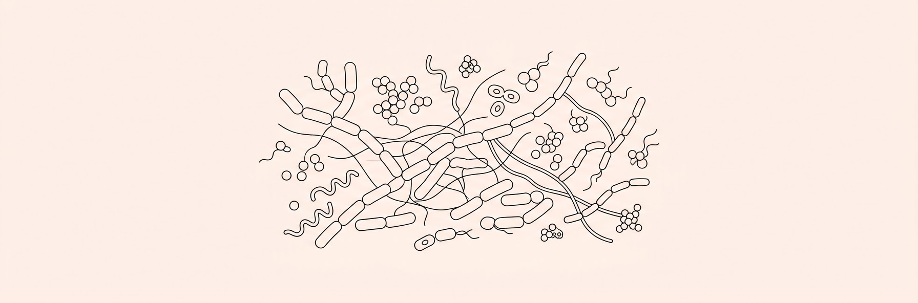 Dietary Fiber Processing Relies on Complex Bacterial Synergy and Signaling Molecules