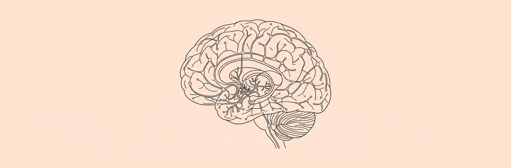 Hypothalamic Neurons Link Warm Temperatures to Reduced Energy Expenditure and Weight Gain
