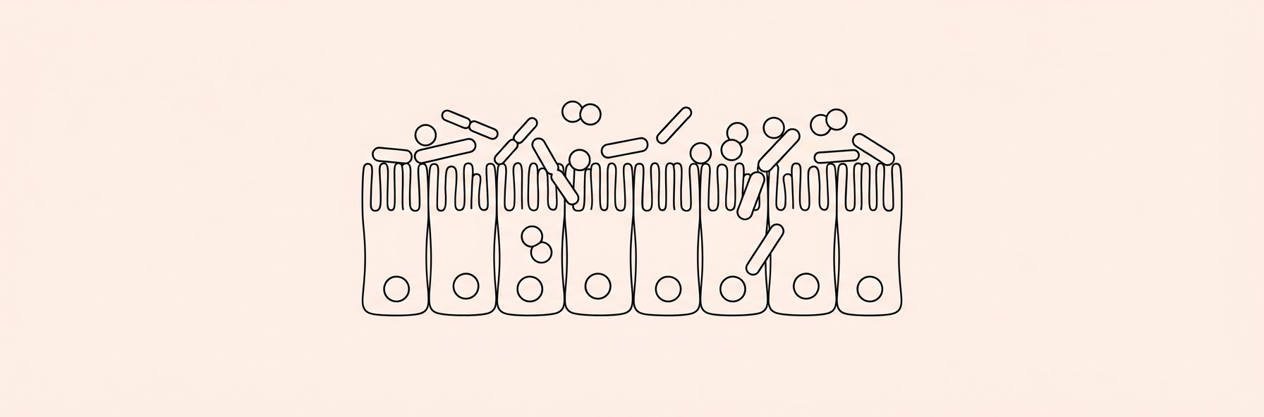 Missing Gut Protein Primes Intestinal Barrier for Peanut Allergy